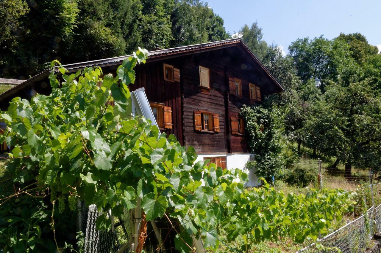 Landhaus Tenne Bartholomaberg Bagian luar foto