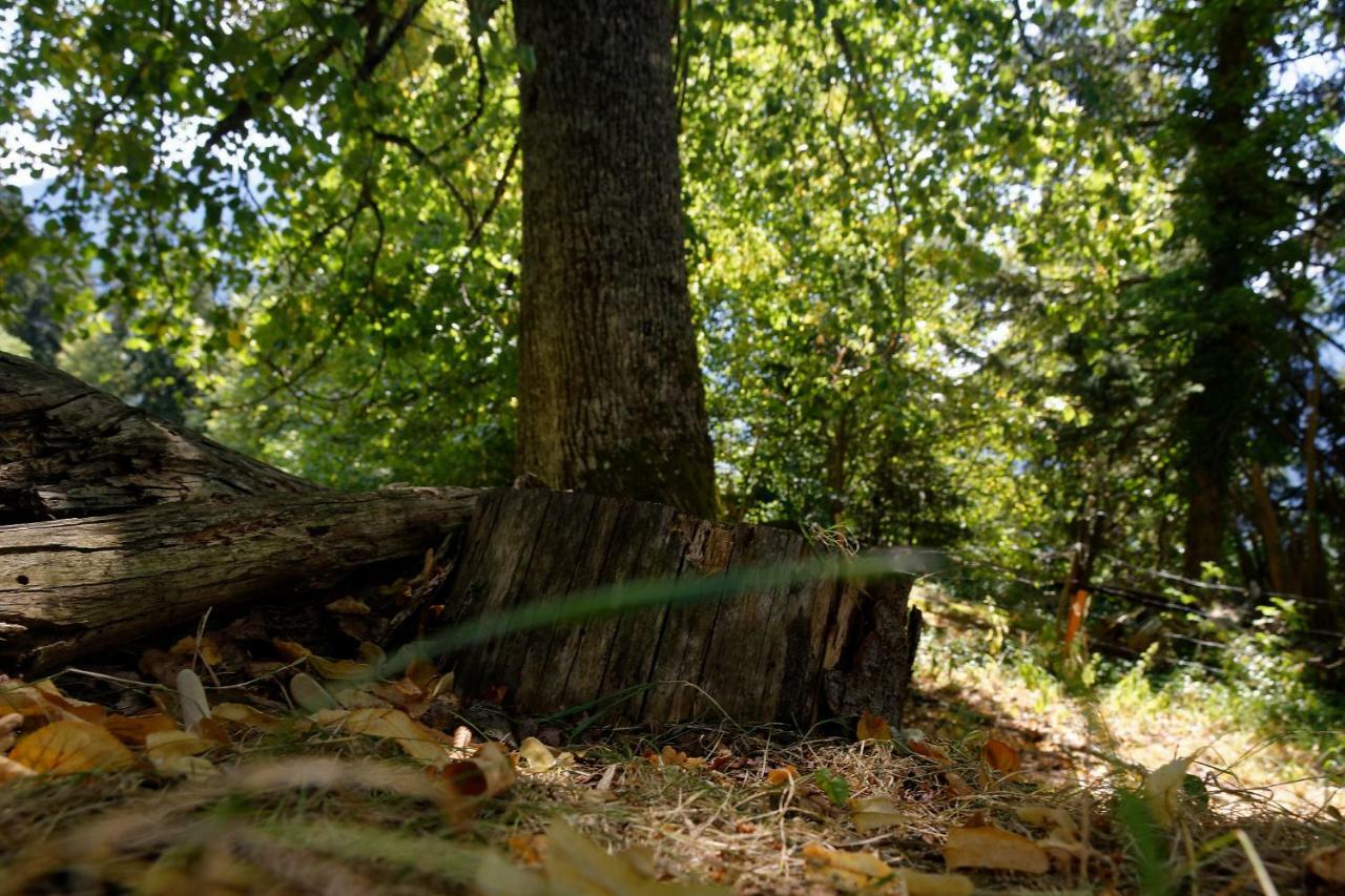Landhaus Tenne Bartholomaberg Bagian luar foto