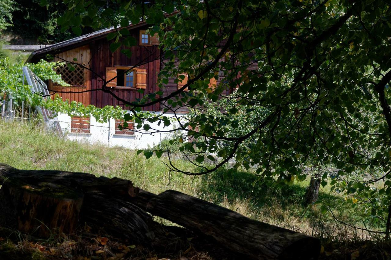 Landhaus Tenne Bartholomaberg Bagian luar foto